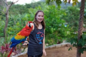 Roatán: Private Monkey and Sloth Sanctuary Tour