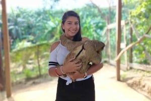 Roatán: Private Monkey and Sloth Sanctuary Tour