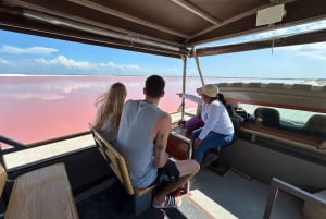 Safari por los lagos rosas de Las Coloradas
