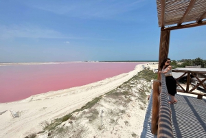 Safari por los lagos rosas de Las Coloradas