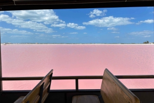 Safari tour around the pink lakes of Las Coloradas