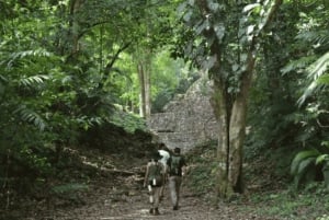 San Cristóbal: Expedición de 3 Días por la Selva Lacandona Norte