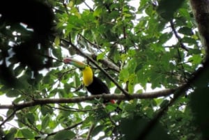 San Cristobal: 4 Days Nature Tour in the Lacandon Jungle