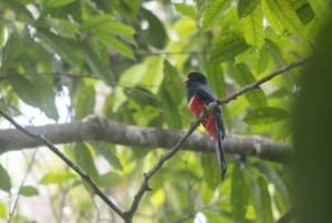 San Cristobal: 4 Days Nature Tour in the Lacandon Jungle