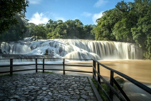 San Cristobal: Palenque, Agua Azul, and Misol-Ha Day Trip