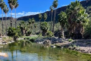 VISITA A LA MISIÓN DE SAN JAVIER