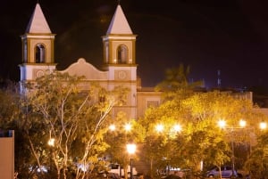 San José del Cabo: Excursión Nocturna Arte y Vino con servicio de recogida del hotel