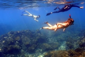 Excursión privada de Snorkel en San José del Cabo