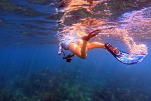 Excursión privada de Snorkel en San José del Cabo