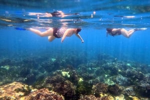 Excursión privada de Snorkel en San José del Cabo