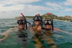 Excursión privada de Snorkel en San José del Cabo