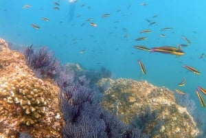 Excursión privada de Snorkel en San José del Cabo