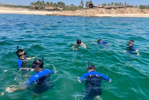 San José del Cabo:Private Snorkeling with Open Bar and Food