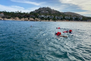 San José del Cabo:Esnórquel privado con barra libre y comida