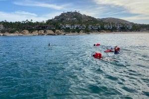 San José del Cabo: Snorkel Vida Marina