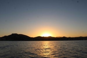 San Jose del Cabo Sunset Whale Watching