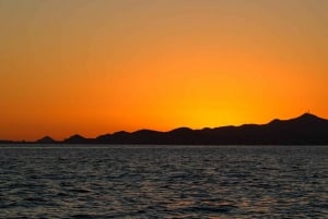 San Jose del Cabo Sunset Whale Watching