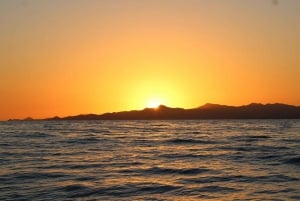 San Jose del Cabo Sunset Whale Watching