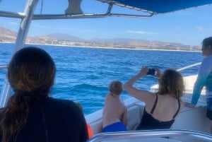 San José del Cabo: Whale Watching Experience