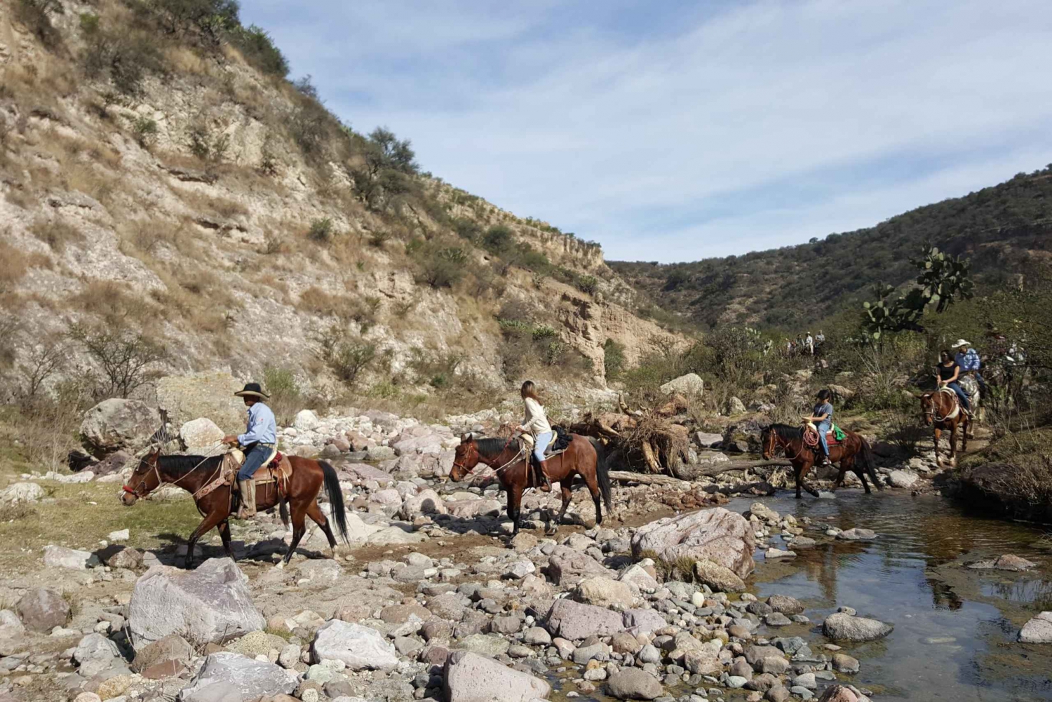 San Miguel Allende: Half-Day Horseback Riding Adventure