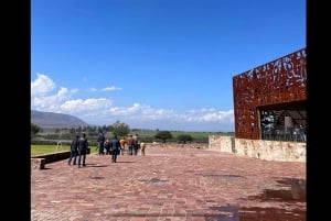 San Miguel Allende: Recorrido a un viñedo de la Ruta del Vino de Guanajuato