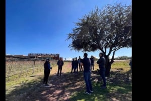 San Miguel Allende: Recorrido a un viñedo de la Ruta del Vino de Guanajuato