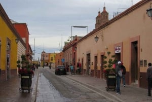 San Miguel de Allende: Dolores Hidalgo Private Tour