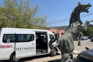 San Miguel de Allende: Visita a viñedos locales y cata de vinos