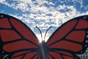 San Miguel de Allende: Tour de la Mariposa Monarca