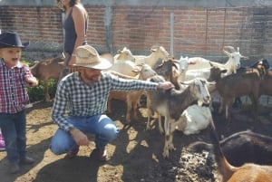 San Miguel de Allende: Excursión nocturna a caballo