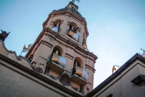 Excursión a San Miguel de Allende: Una Ciudad Colonial Más Querétaro