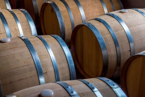 San Miguel de Allende: Tour of 2 Vineyards with Wine Tasting