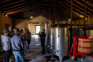 San Miguel de Allende: Tour of 2 Vineyards with Wine Tasting