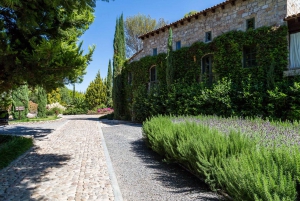 San Miguel de Allende: Tour of 2 Vineyards with Wine Tasting