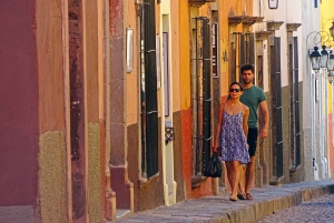 San Miguel de Allende: Walking Tour of Houses and Gardens