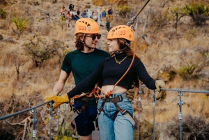 San Miguel de Allende: Zipline Adventure & Suspension Bridge