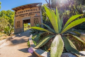 San Sebastián del Oeste: Tour Pueblo Mágico