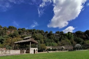 Excursión a Santa María Regla: Descubriendo Tesoros Naturales