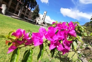 Excursión a Santa María Regla: Descubriendo Tesoros Naturales