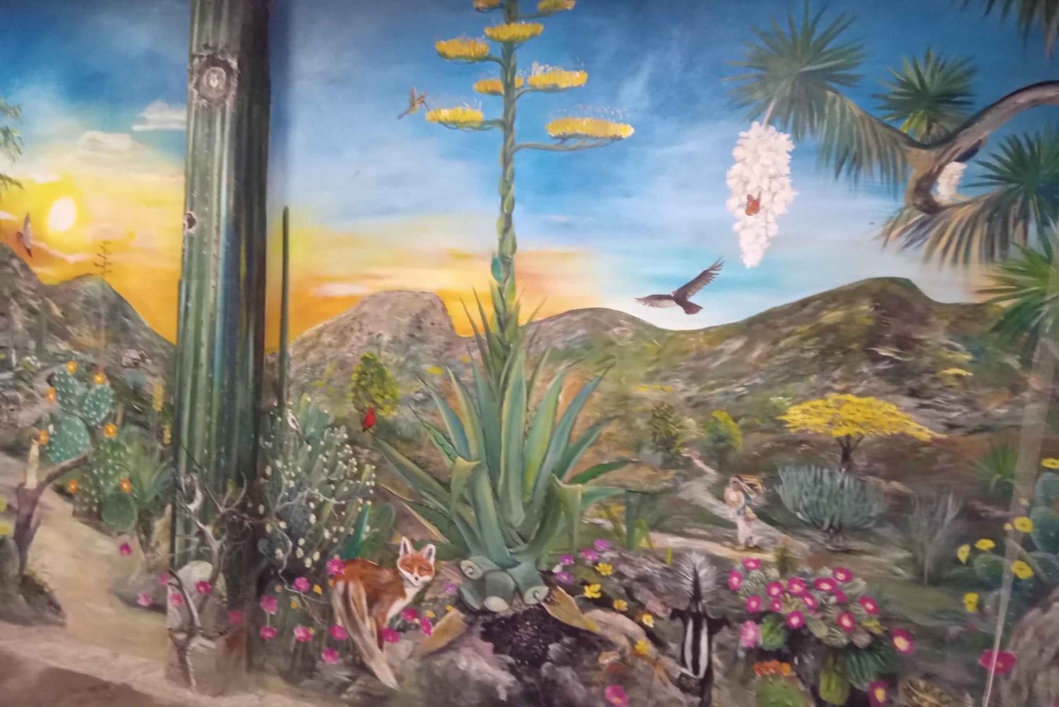 Santiago de Anaya, Hidalgo: Food tour. Experience among stoves.