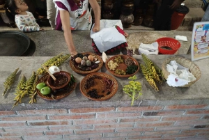 Santiago de Anaya, Hidalgo: Tour gastronómico. Experiencia entre fogones.