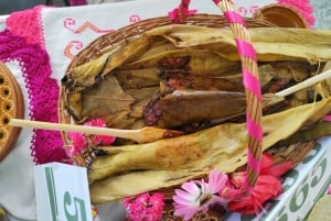 Santiago de Anaya, Hidalgo: Food tour. Experience among stoves.