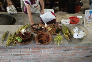 Santiago de Anaya, Hidalgo: Food tour. Experience among stoves.