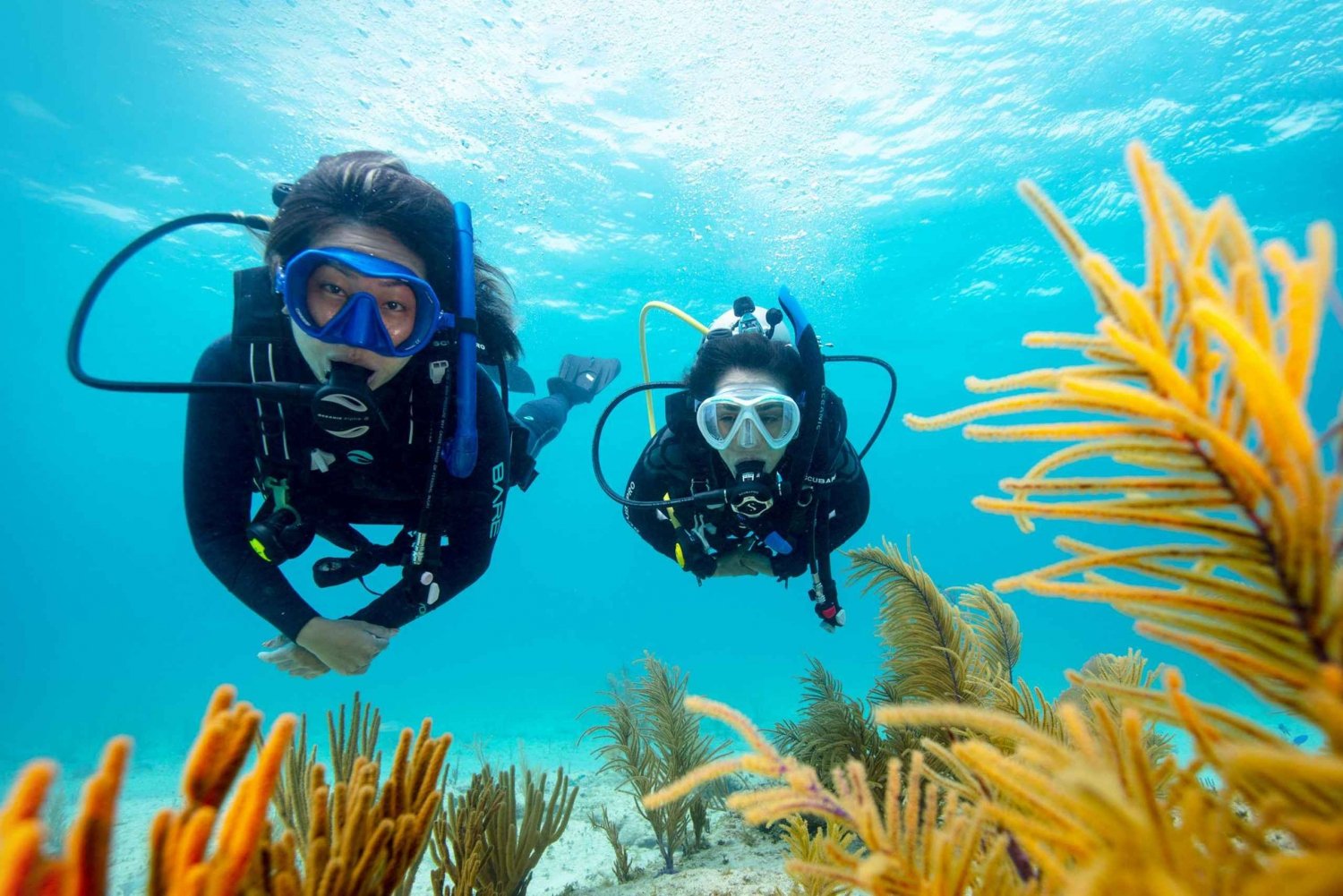 Bucea en Cancún, México