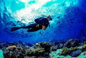 Bucea en Cozumel, México