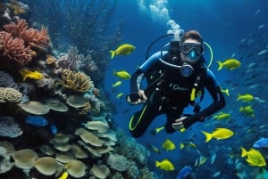 Buceo en Playa del Carmen, México