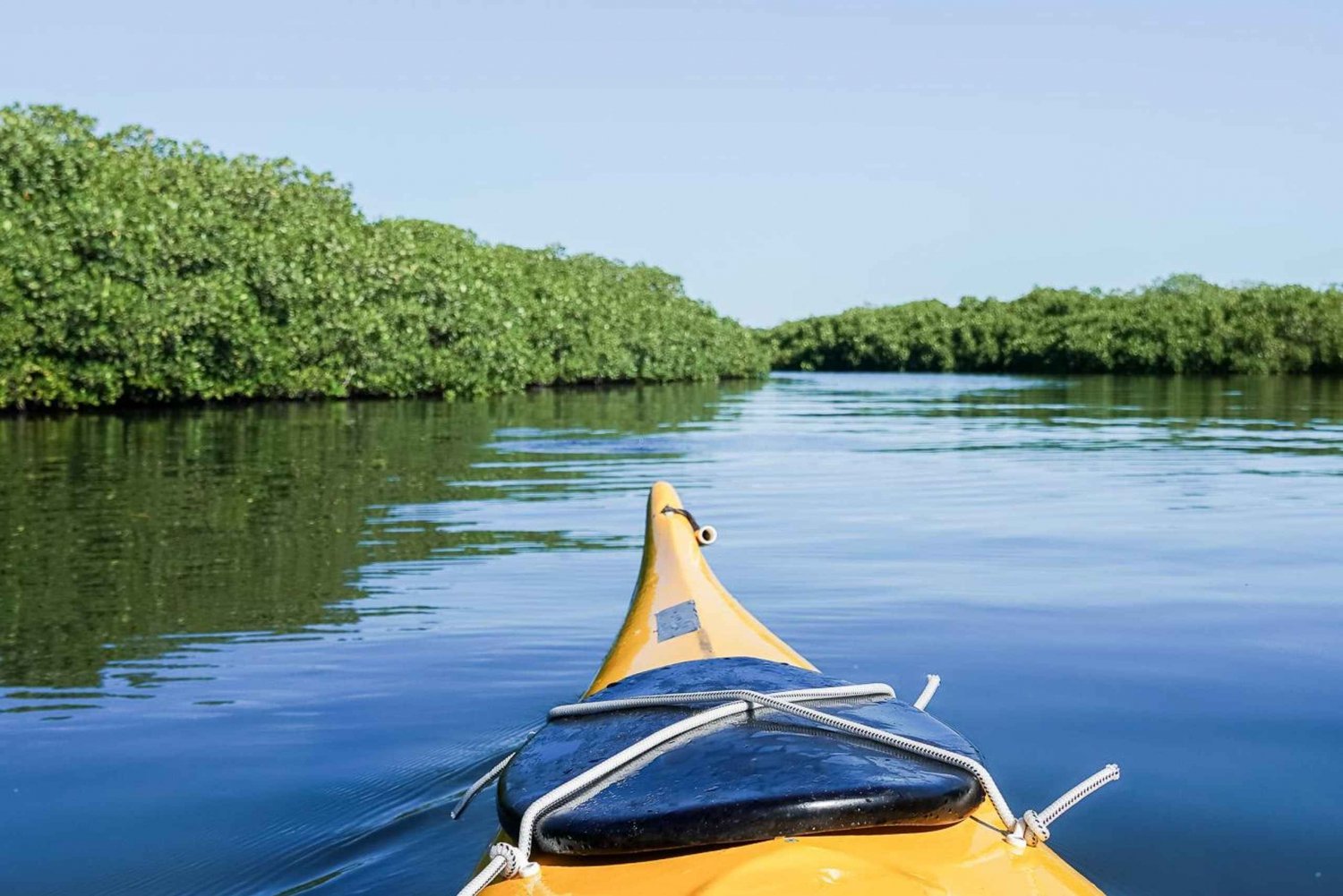 Excursión en Kayak de Mar - Safari por los Manglares