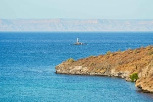 Sea Kayak Tour - Marine Safari