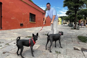 Secret Food Tour: Oaxaca de Juárez