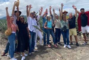 Vuelo compartido en globo en Teotihuacan con traslado
